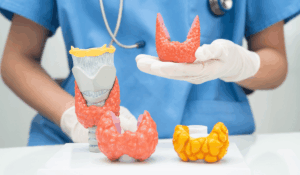 Hyperthyroidism Symptoms